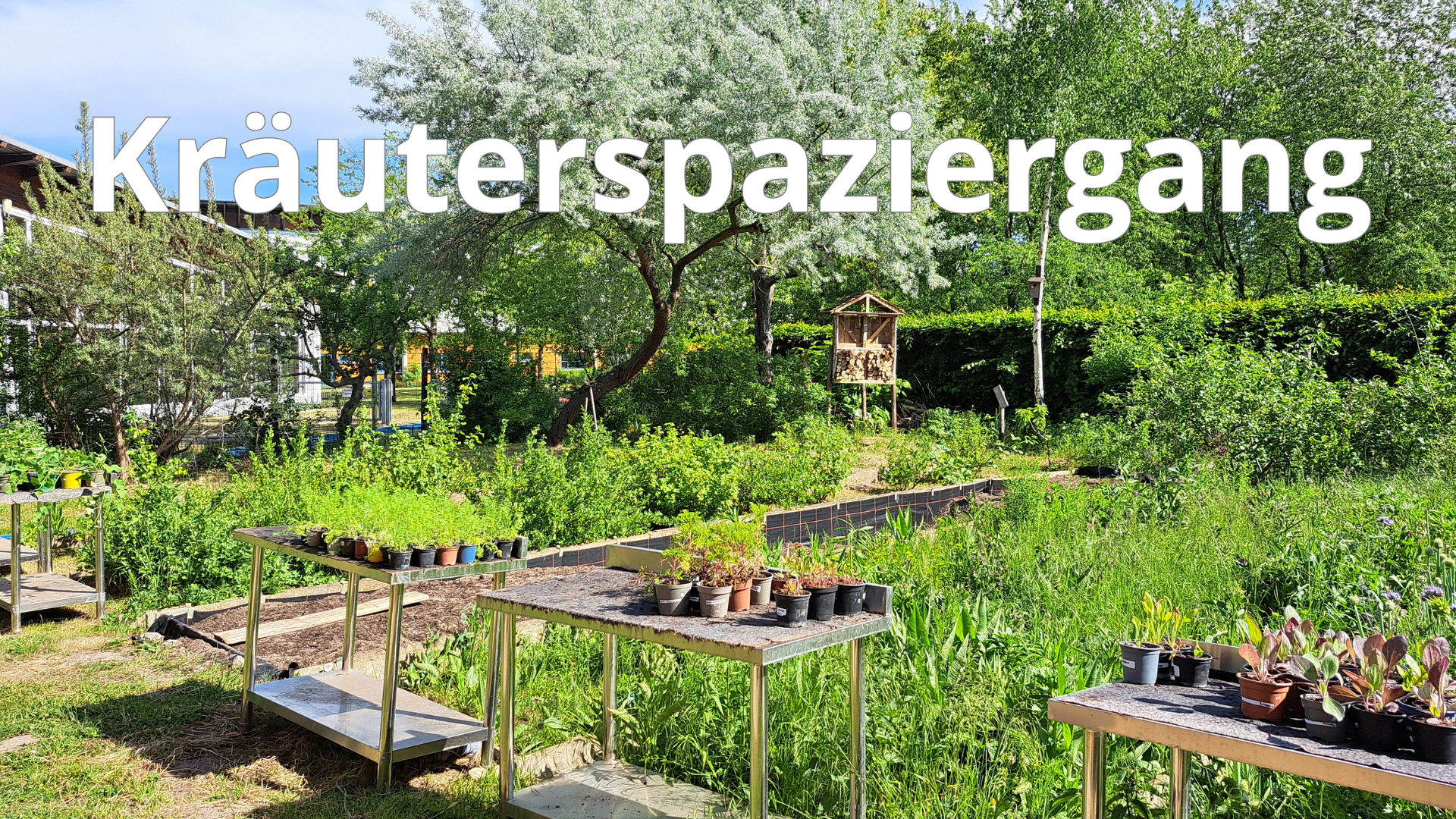 Kräutergarten